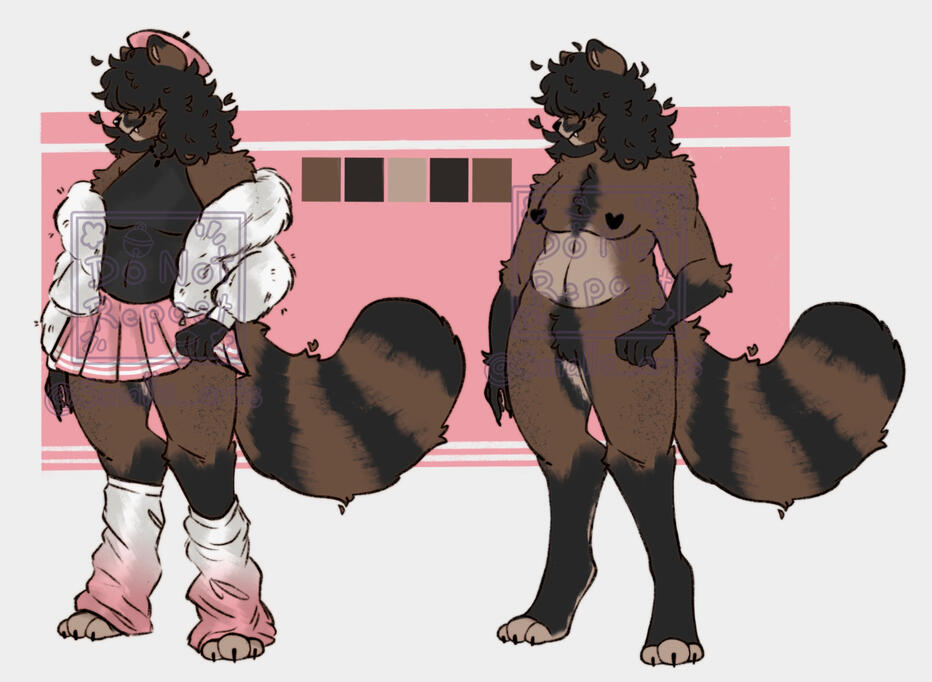 Raccoon - Character design